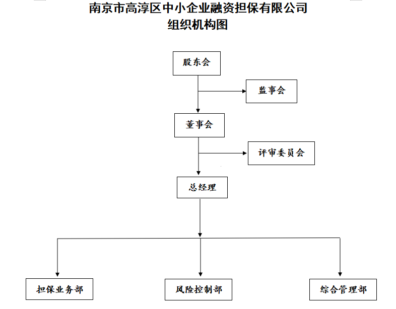 南京市高淳区中小企业融资担保有限公司简介